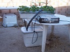 18 gallon storage tote used  for the reservoir to grow melons