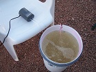 5 gallon bucket is used as the nutrient reservoir in DWC system