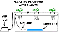 Water culture system diagram