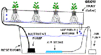 N.F.T. hydroponic Systems