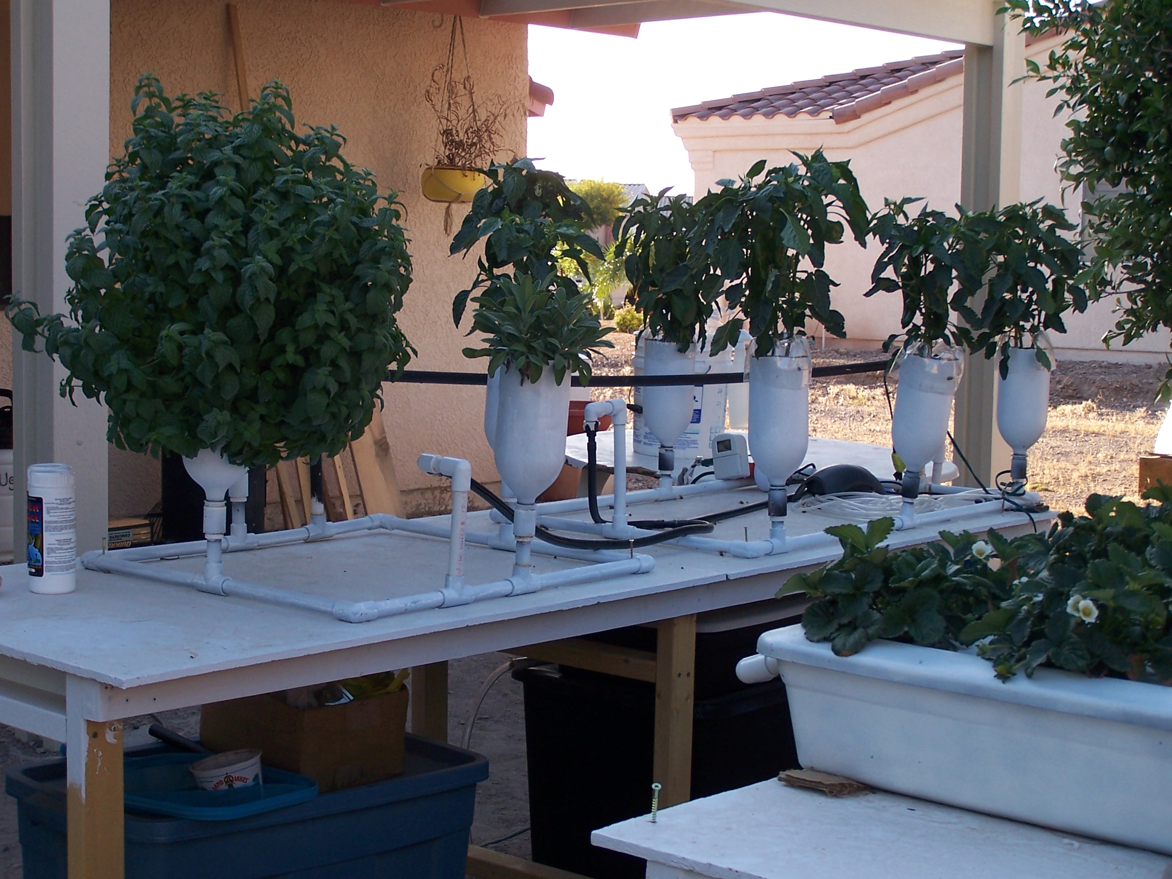 Hydroponic Growing Systems Diagram Hydroponic System Setup ...