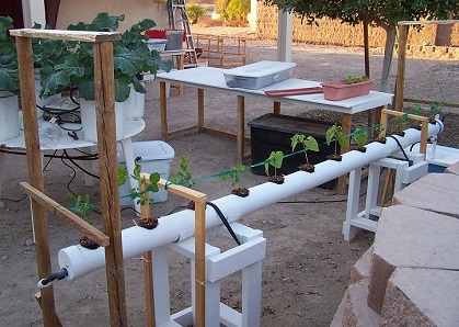 Hydroponic flood and drain system