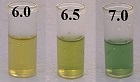 pH drops color scale