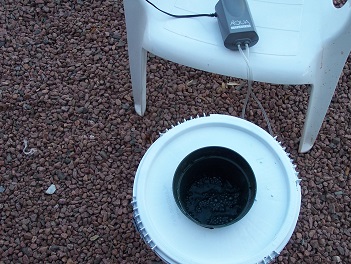 five gallon bucket DWC hydroponic system