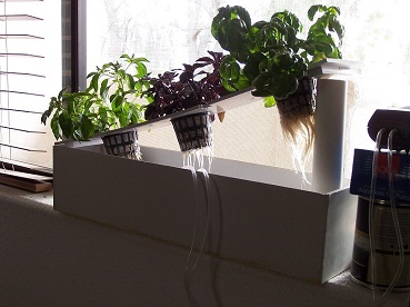 hydroponic window herb garden