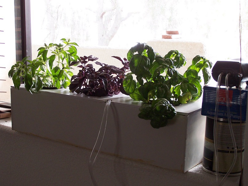 Build your own hydroponic window herb garden system